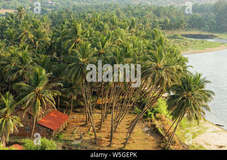 Palme sulla spiaggia Ganpatipule parte estesa verso Ratnagiri, Maharashtra, India. Foto Stock