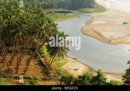 Palme sulla spiaggia Ganpatipule parte estesa verso Ratnagiri, Maharashtra, India. Foto Stock