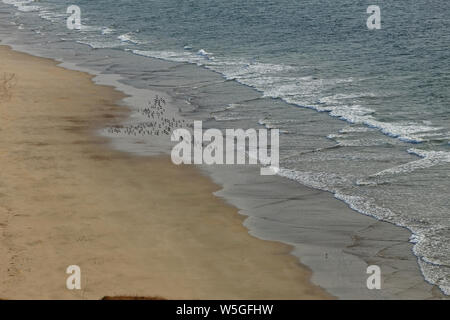 Spiaggia di Ganpatipule parte estesa verso Ratnagiri, Maharashtra, India. Foto Stock