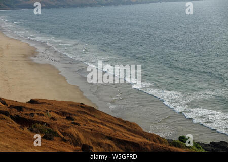 Spiaggia di Ganpatipule parte estesa verso Ratnagiri, Maharashtra, India. Foto Stock