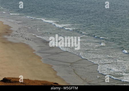 Spiaggia di Ganpatipule parte estesa verso Ratnagiri, Maharashtra, India. Foto Stock