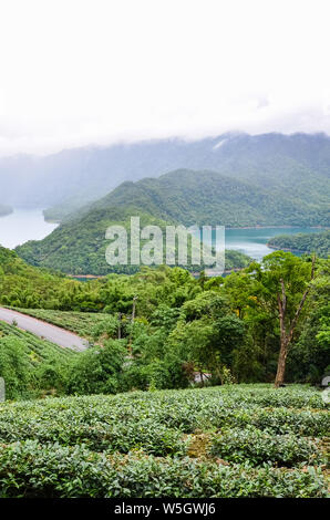 Fotografia verticale della magnifica isola di mille lago a Taiwan, in Asia. Il lago è circondato da piantagioni di tè e foreste pluviali tropicali. Brumoso paesaggio. Taiwan la natura. Tè Oolong piantagioni. Foto Stock