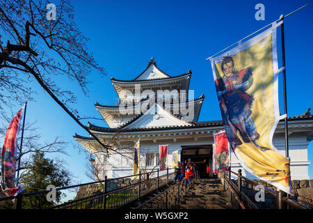 Il castello di Odawara, Odawara, nella prefettura di Kanagawa, Honshu, Giappone, Asia Foto Stock