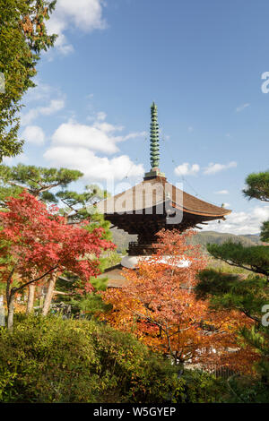 Colore di autunno in Jojakko-ji il tempio di Arashiyama, Kyoto, Giappone, Asia Foto Stock