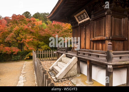 Colore di autunno in Jojakko-ji il tempio di Arashiyama, Kyoto, Giappone, Asia Foto Stock