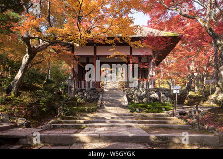 Colore di autunno in Jojakko-ji il tempio di Arashiyama, Kyoto, Giappone, Asia Foto Stock