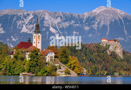 La Slovenia, Alta Carniola, Bled Bled Island e la chiesa dell'Annunciazione dalla riva del lago con il castello di Bled in background. Foto Stock