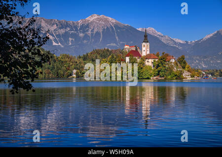 La Slovenia, Alta Carniola, Bled Bled Island e la chiesa dell'Annunciazione dalla riva del lago con il castello di Bled in background. Foto Stock