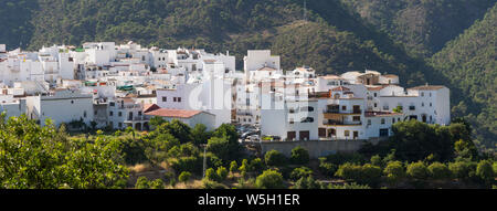 Il bianco lavato villaggio di Istan, nascosti nella catena montuosa della Sierra de las Nieves, Andalusia, Spagna Foto Stock