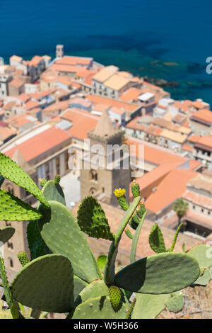 Ficodindia cactus (Opuntia ficus-indica) crescente sul La Rocca, alta sopra la Città Vecchia, Cefalù, Palermo, Sicilia, Italia, Mediterraneo, Europa Foto Stock