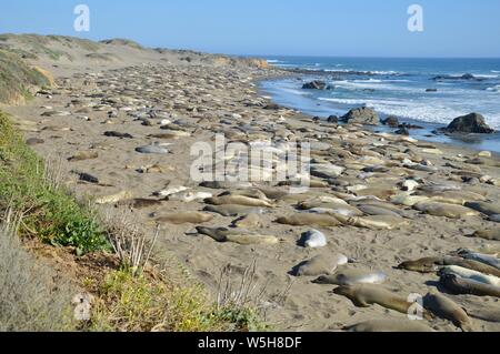 Le guarnizioni di tenuta del porto sulla costa della California del Sud Foto Stock