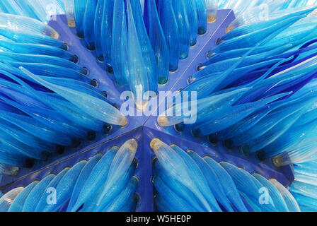 Un bel bicchiere pezzo di arte sul display pubblico sull'isola di Murano nella laguna veneziana dell'Italia. Foto Stock