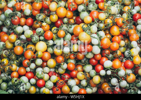 Modello di rosso giallo e verde di piccole dimensioni sullo sfondo di pomodoro Foto Stock