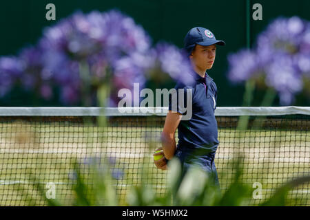 Dettaglio generico di fiore e una palla ragazzo ai campionati , Wimbledon 2019. Foto Stock