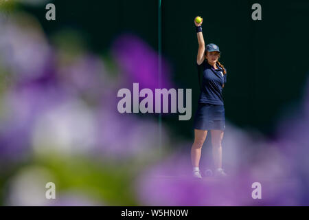 Dettaglio generico di fiore e una palla ragazzo ai campionati , Wimbledon 2019. Foto Stock