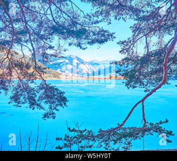 La vista attraverso i lussureggianti pini rami congelati sul lago Zeller See, Zell am See, Austria Foto Stock