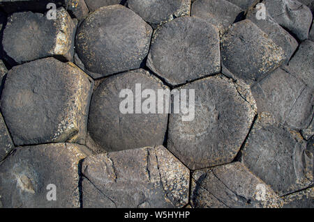 Giant's Causeway nel paese di Antrim, Irlanda del Nord Foto Stock