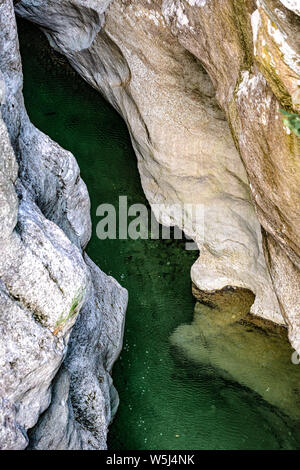 Italia Friuli Riserva Naturale forraof il torrente Cellina Foto Stock
