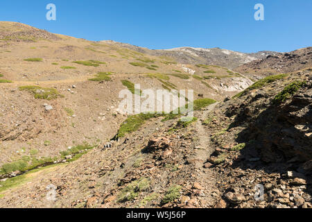 Paesaggio alpino a Borreguiles de San Juan, Parco Nazionale Sierra Nevada a 2500m altitud. Durante la stagione estiva, Granada/ Andalusia, Spagna. Foto Stock