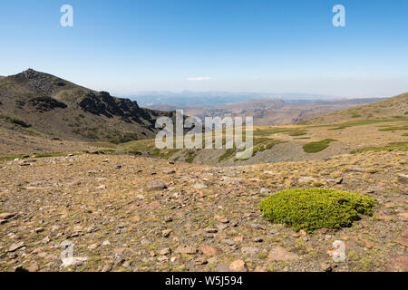Paesaggio alpino a Borreguiles de San Juan, Parco Nazionale Sierra Nevada a 2500m altitud. Durante la stagione estiva, Granada/ Andalusia, Spagna. Foto Stock