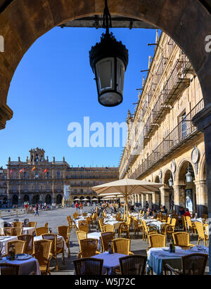 La barocca Plaza Mayor nel centro di Salamanca, Spagna. Foto Stock