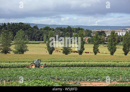 Allevamento del trattore in un idilliaco scenario vicino freccette complesso agrituristico vicino Topsham in Devon Foto Stock