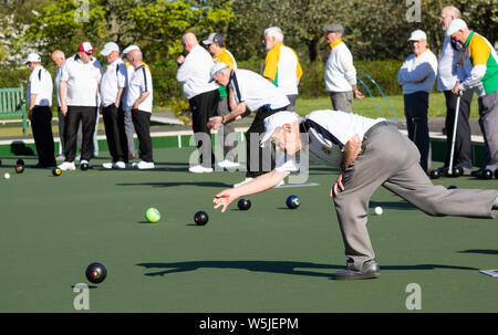 Uomini anziani a giocare a bocce su prato/bowling, corona verde bowling. Regno Unito Foto Stock