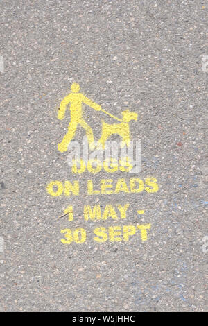 Giallo segno impresse a Bognor Regis promenade di consigliare i proprietari di cani per tenere i loro cani al guinzaglio da maggio a settembre. Foto Stock