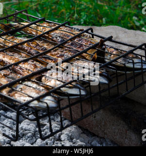 Sgombro pesce giacente sul grill e cuocere su un fuoco aperto. Close-up Foto Stock