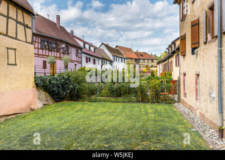 Borgo medievale Bergheim, Alsazia, Strada del Vino, Francia, fossato con tipiche case a graticcio dietro il muro della città Foto Stock