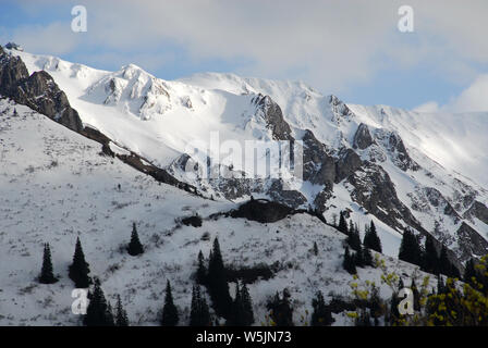 Parco Nazionale Gesäuse, Nationalpark Gesäuse, Alpi Austria, Europa Foto Stock