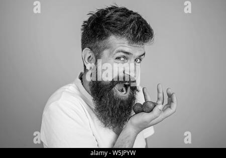 Vuoi provare il mio berry Hipster barbuto trattiene le fragole su palm, vicino. Uomo allegro andando a mangiare mature fragole dolce sfondo blu. L'uomo faccia felice a bocca aperta con la barba mangia le fragole. Foto Stock