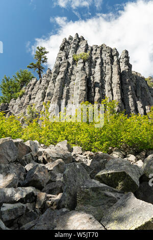 Giunzione colonnare in andesite flusso di lava, western Cascades, Oregon, Stati Uniti d'America Foto Stock