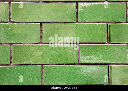 Il verde smaltato piastrelle di mattone sparato vicino come sfondo del paesaggio Foto Stock