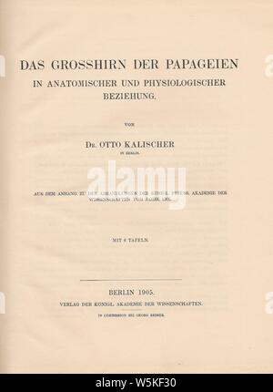 Das Grosshirn der Papageien in anatomischer und physiologischer Beziehung (1905). Foto Stock