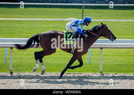 Jockey e corse di cavalli purosangue a Keeneland racetrack in Lexington Kentucky Foto Stock