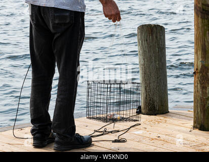 Un uomo è in procinto di lanciare una trappola di granchio con pollo in essa come esche in acqua fuori del legno di un dock. Foto Stock