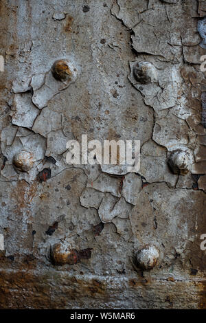 Textured industriale sfondo grunge - peeling, incrinato, corroso la vernice e la ruggine su una parete. Foto Stock