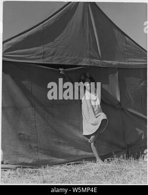 Farm Security Administration: lavoratori migranti nasce in una raccoglitrice di pisello camp vicino Stocklon, California Foto Stock