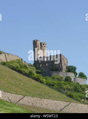 Ehrenfels Castello come visto sul Fiume Reno Foto Stock