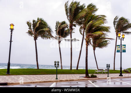 Deerfield Beach Florida, Ocean Water Way, spiagge pubbliche, palme, facciate, rainstorm, vento, vento soffiato, tempo, nuvoloso, grigio, parchimetro, flessione, visi Foto Stock