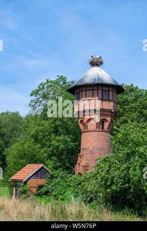 Giovani cicogna bianca (Ciconia ciconia) nel nido sul tetto di una torre di acqua nel villaggio Ruhstadt, Europeo stork village, Prignitz Foto Stock