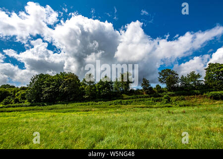 Vista della Valle Darent nelle vicinanze del Lullingstone, Kent, Inghilterra Foto Stock
