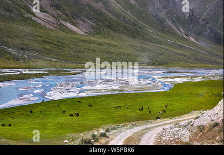 Allevamento di cavalli vicino al fiume di Terskey Alatau montagne del Kirghizistan, in Asia centrale Foto Stock