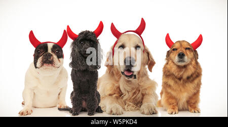 Simpatici cani indossando diavolo corna per Halloween, immagine collage Foto Stock