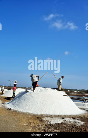 Le persone che lavorano presso saline Chharwada Valsad Gujarat India Asia Foto Stock
