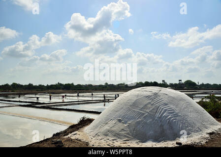Le persone che lavorano presso saline Chharwada Valsad Gujarat India Asia Foto Stock