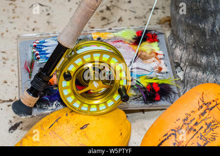 Saltwater fly mosche per la pesca e la canna da mosca e bobina Foto Stock