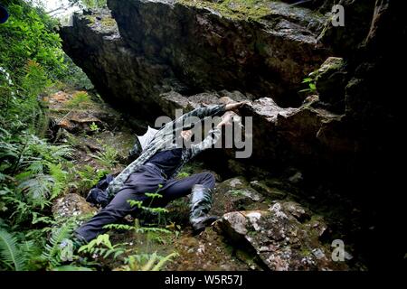 Un apicoltore si arrampica su una ripida scogliera di una montagna di raccogliere miele da alveari in legno in Rongshui Miao contea autonoma, Liuzhou city, a sud della Cina di Guan Foto Stock