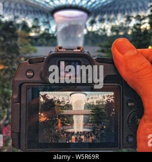 Il paesaggio del gioiello complesso che presenta le più alte del mondo cascata al coperto presso l'Aeroporto Changi di Singapore Changi in, Singapore, 2 giugno 2019. Pla Foto Stock